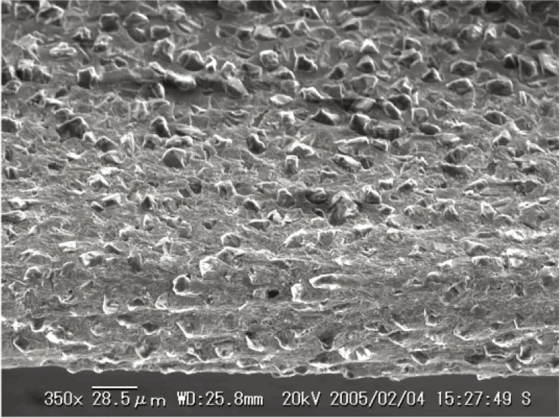 Blade surface after initial dressing(Nickel blade #800)