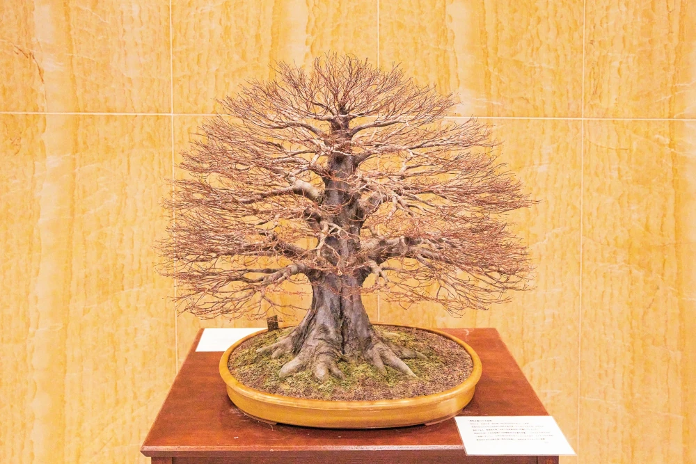 ファナック様の企業シンボル「欅（けやき）」